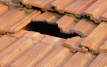roof repair Hollicombe, Devon