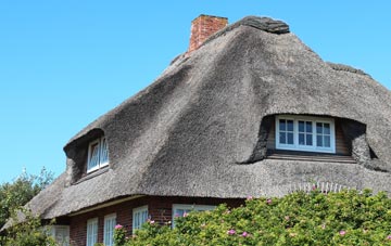 thatch roofing Hollicombe, Devon